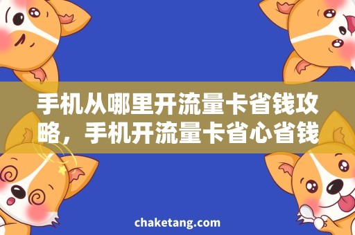 手机从哪里开流量卡省钱攻略，手机开流量卡省心省钱