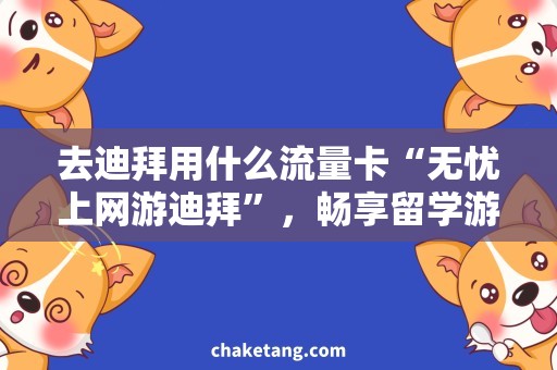 去迪拜用什么流量卡“无忧上网游迪拜”，畅享留学游学之旅！