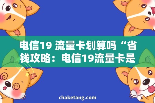 电信19 流量卡划算吗“省钱攻略：电信19流量卡是否真的划算？”
