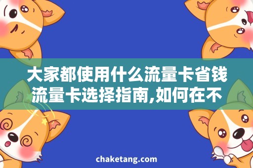 大家都使用什么流量卡省钱流量卡选择指南,如何在不同场合中节省开销