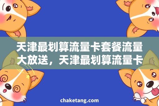 天津最划算流量卡套餐流量大放送，天津最划算流量卡套餐来袭！