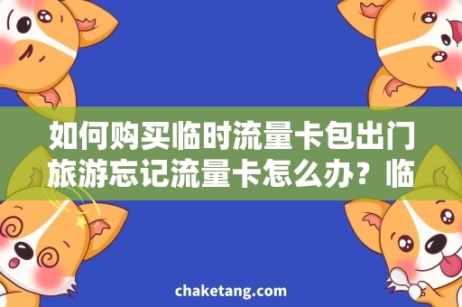 如何购买临时流量卡包出门旅游忘记流量卡怎么办？临时流量卡包购买攻略！