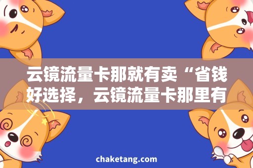 云镜流量卡那就有卖“省钱好选择，云镜流量卡那里有卖”