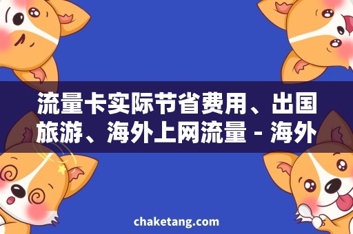 流量卡实际节省费用、出国旅游、海外上网流量 - 海外出游必备：节省费用的流量卡实际上网使用攻略