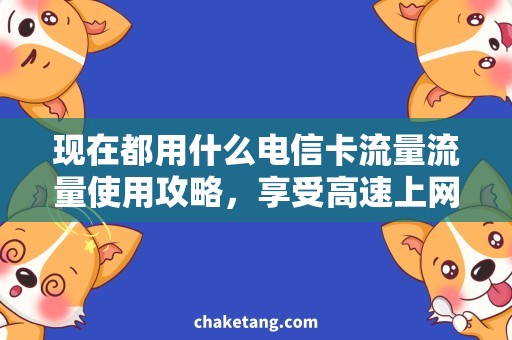 现在都用什么电信卡流量流量使用攻略，享受高速上网的绝佳秘籍