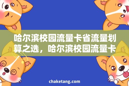 哈尔滨校园流量卡省流量划算之选，哈尔滨校园流量卡！