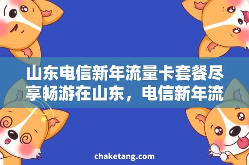 山东电信新年流量卡套餐尽享畅游在山东，电信新年流量卡套餐解析