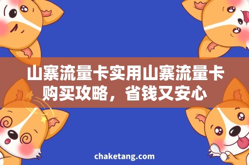 山寨流量卡实用山寨流量卡购买攻略，省钱又安心