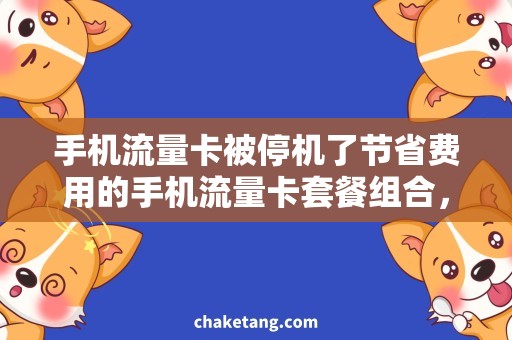 手机流量卡被停机了节省费用的手机流量卡套餐组合，详细说明重启被停机手机流量卡的具体步骤