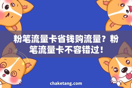 粉笔流量卡省钱购流量？粉笔流量卡不容错过！