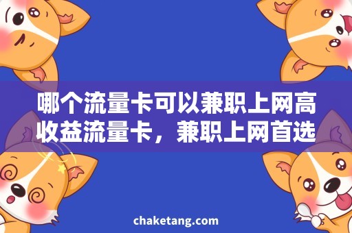 哪个流量卡可以兼职上网高收益流量卡，兼职上网首选！