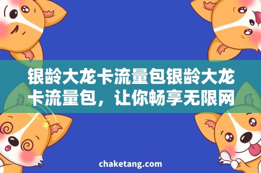 银龄大龙卡流量包银龄大龙卡流量包，让你畅享无限网络乐趣！