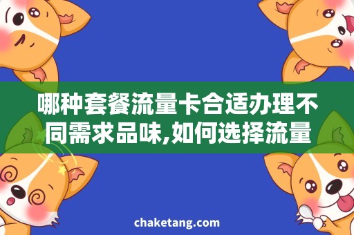 哪种套餐流量卡合适办理不同需求品味,如何选择流量套餐卡