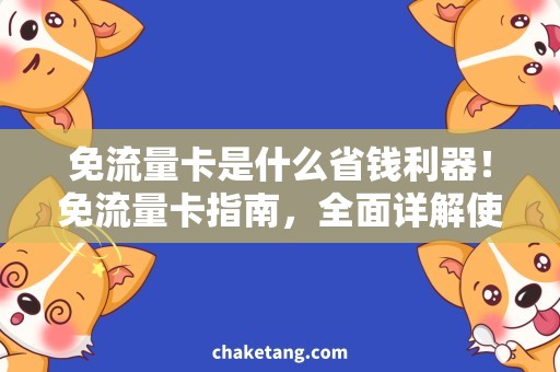 免流量卡是什么省钱利器！免流量卡指南，全面详解使用技巧