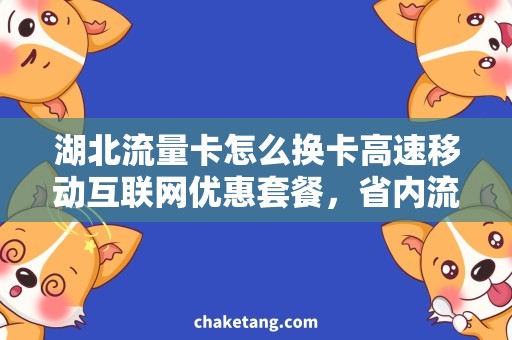 湖北流量卡怎么换卡高速移动互联网优惠套餐，省内流量卡怎么换卡