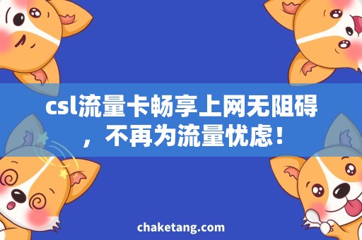 csl流量卡畅享上网无阻碍，不再为流量忧虑！
