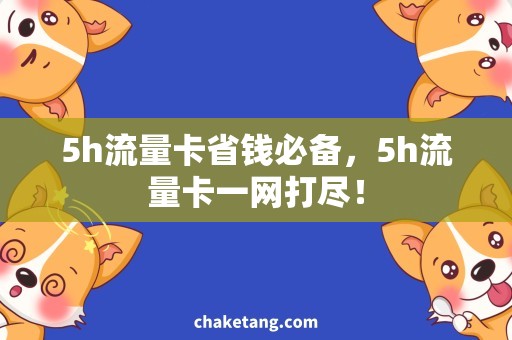 5h流量卡省钱必备，5h流量卡一网打尽！