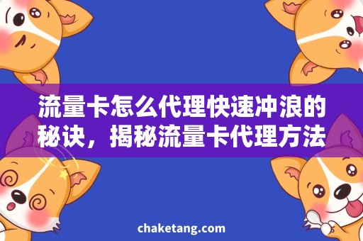 流量卡怎么代理快速冲浪的秘诀，揭秘流量卡代理方法