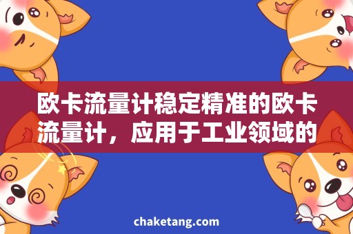 欧卡流量计稳定精准的欧卡流量计，应用于工业领域的流体计量