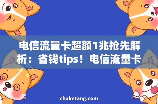 电信流量卡超额1兆抢先解析：省钱tips！电信流量卡超额1兆的使用技巧分享