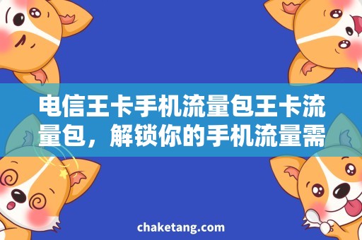 电信王卡手机流量包王卡流量包，解锁你的手机流量需求！