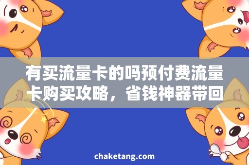 有买流量卡的吗预付费流量卡购买攻略，省钱神器带回家！