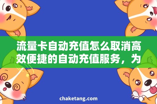 流量卡自动充值怎么取消高效便捷的自动充值服务，为流量卡充值告别繁琐，取消方法走一步看得清