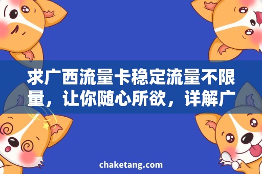 求广西流量卡稳定流量不限量，让你随心所欲，详解广西流量卡