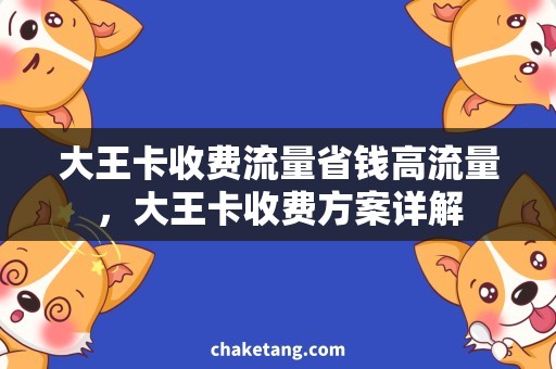 大王卡收费流量省钱高流量，大王卡收费方案详解