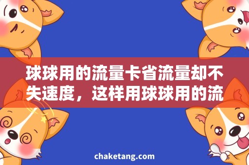 球球用的流量卡省流量却不失速度，这样用球球用的流量卡