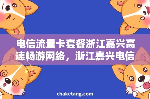 电信流量卡套餐浙江嘉兴高速畅游网络，浙江嘉兴电信流量卡套餐带你畅享网络世界！