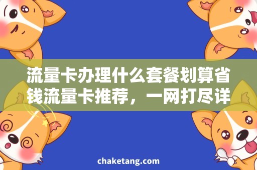 流量卡办理什么套餐划算省钱流量卡推荐，一网打尽详解流量卡套餐