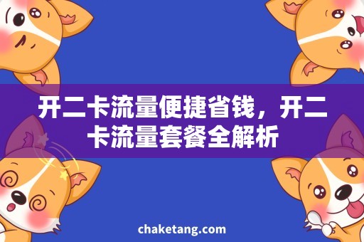 开二卡流量便捷省钱，开二卡流量套餐全解析
