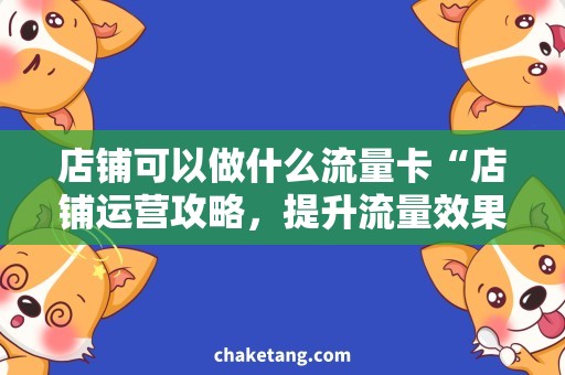 店铺可以做什么流量卡“店铺运营攻略，提升流量效果”