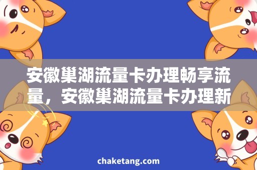 安徽巢湖流量卡办理畅享流量，安徽巢湖流量卡办理新规定