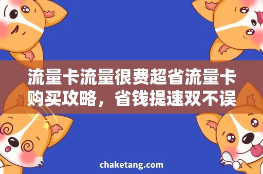 流量卡流量很费超省流量卡购买攻略，省钱提速双不误
