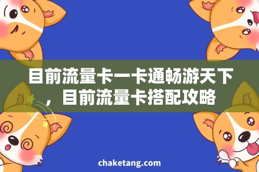 目前流量卡一卡通畅游天下，目前流量卡搭配攻略