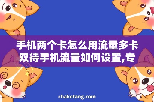 手机两个卡怎么用流量多卡双待手机流量如何设置,专家教你省钱上网