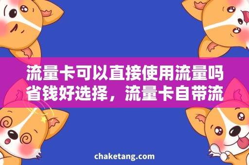 流量卡可以直接使用流量吗省钱好选择，流量卡自带流量还需添置吗？