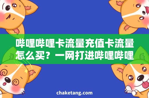哔哩哔哩卡流量充值卡流量怎么买？一网打进哔哩哔哩之海详解
