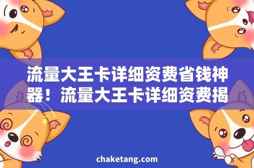流量大王卡详细资费省钱神器！流量大王卡详细资费揭秘，惊喜加油哪款更划算？