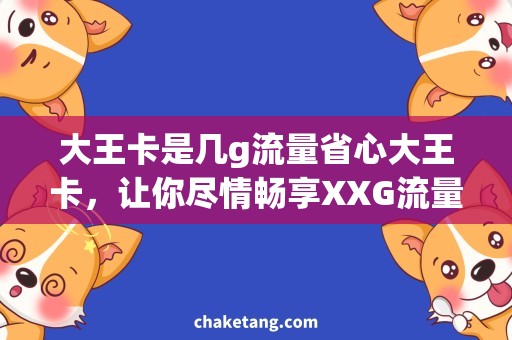 大王卡是几g流量省心大王卡，让你尽情畅享XXG流量！