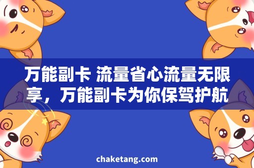 万能副卡 流量省心流量无限享，万能副卡为你保驾护航！