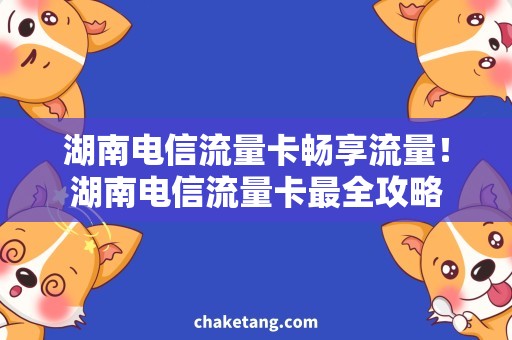 湖南电信流量卡畅享流量！湖南电信流量卡最全攻略