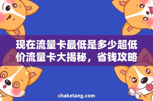现在流量卡最低是多少超低价流量卡大揭秘，省钱攻略走起！