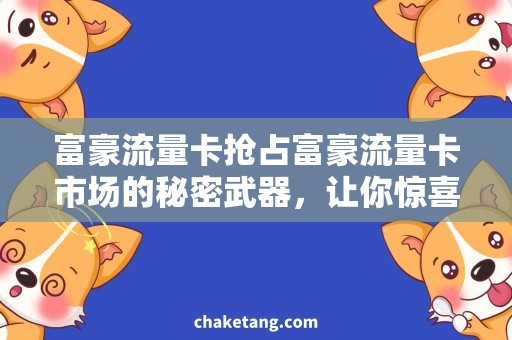富豪流量卡抢占富豪流量卡市场的秘密武器，让你惊喜不断！