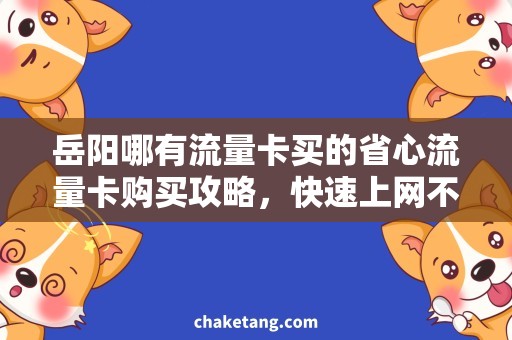 岳阳哪有流量卡买的省心流量卡购买攻略，快速上网不再为难！