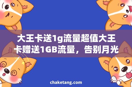 大王卡送1g流量超值大王卡赠送1GB流量，告别月光族