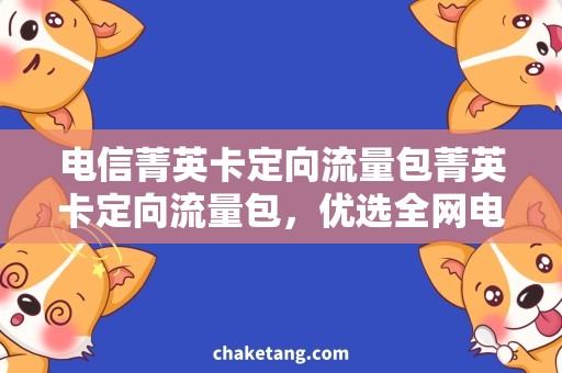 电信菁英卡定向流量包菁英卡定向流量包，优选全网电信套餐搭配