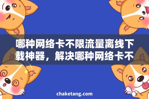 哪种网络卡不限流量离线下载神器，解决哪种网络卡不限流量需求